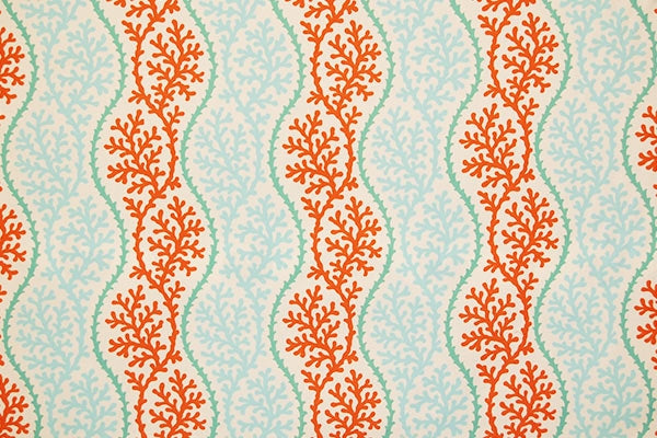 Coral Splendor Coral