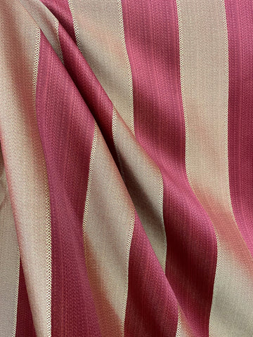 Regal Stripe Goldenberry