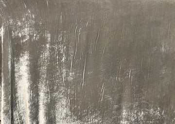 Vintage Velvet Silver